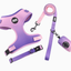 Adjustable Soft Pet Harness with Leash & Poop Bag Dispenser