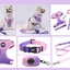 Adjustable Soft Pet Harness with Leash & Poop Bag Dispenser