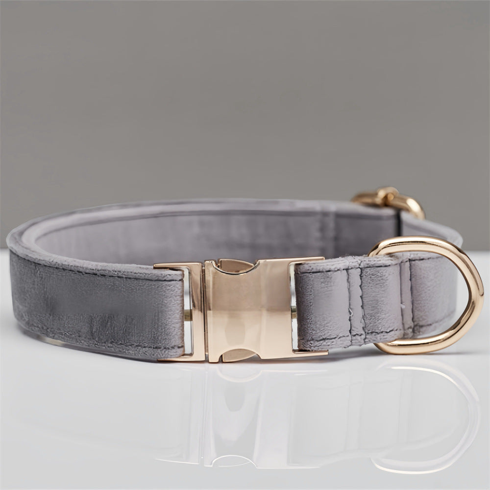 Durable Dog Collar with Metal Buckle - Small to Large Dogs