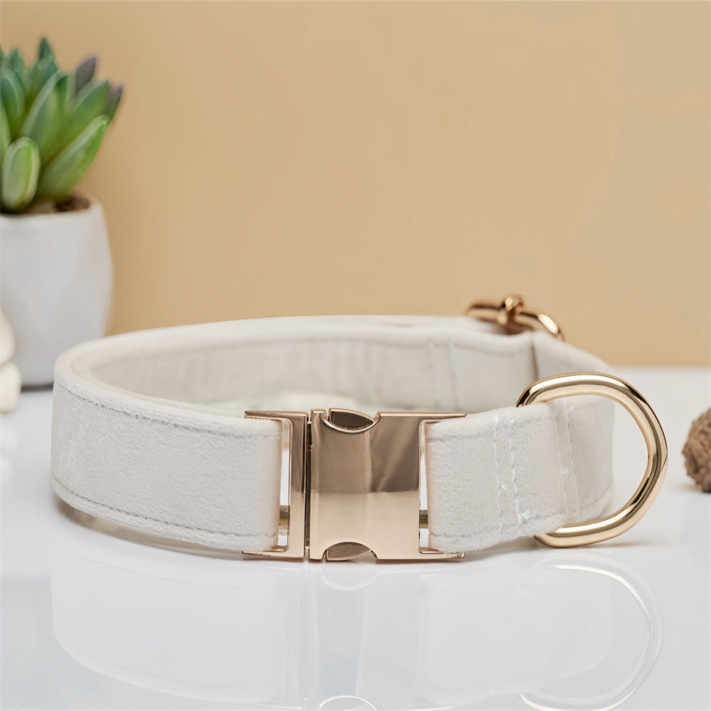 Durable Dog Collar with Metal Buckle - Small to Large Dogs