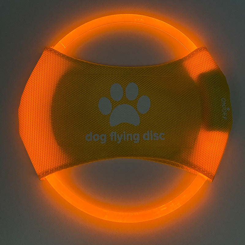 Light Up Dog Frisbee