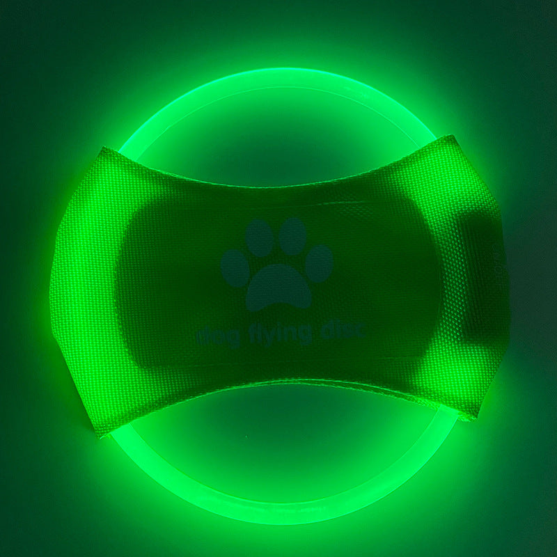 Light Up Dog Frisbee