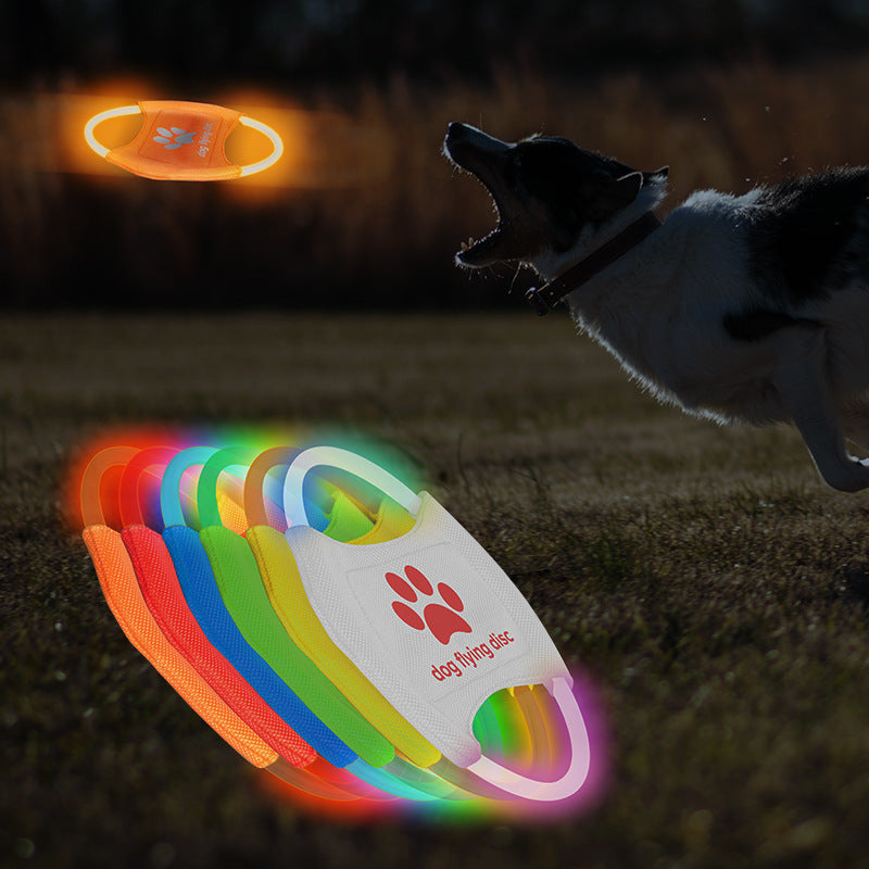 Light Up Dog Frisbee