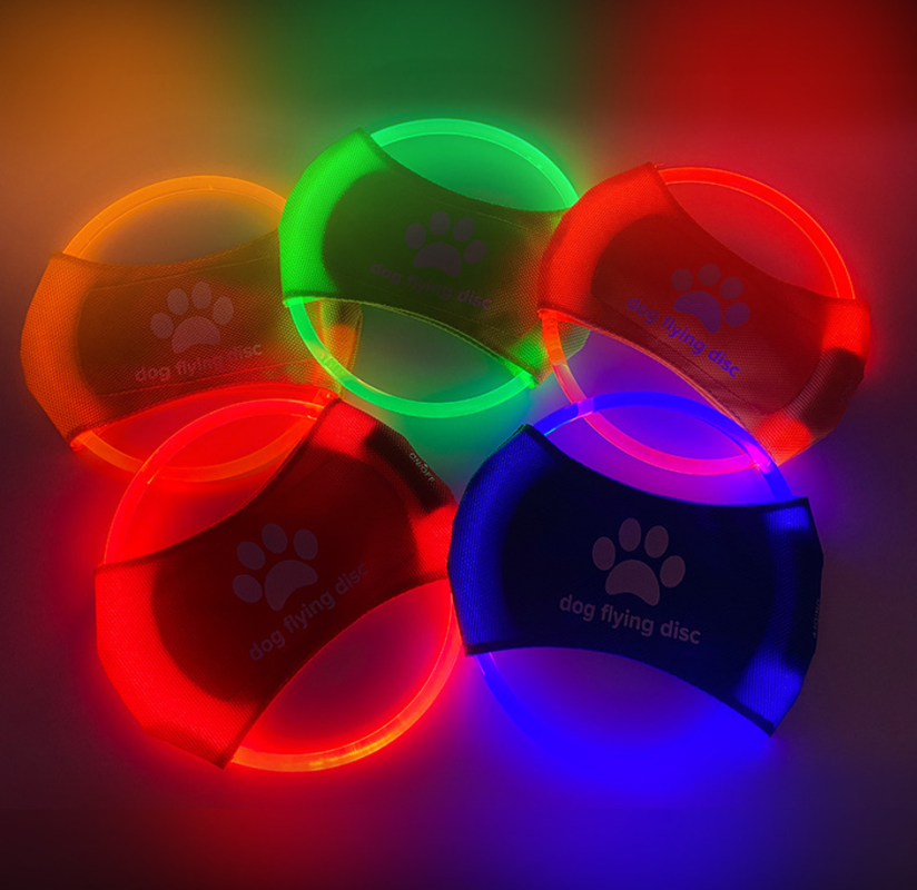 Light Up Dog Frisbee
