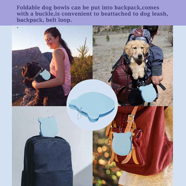 Collapsible Pet Bowl