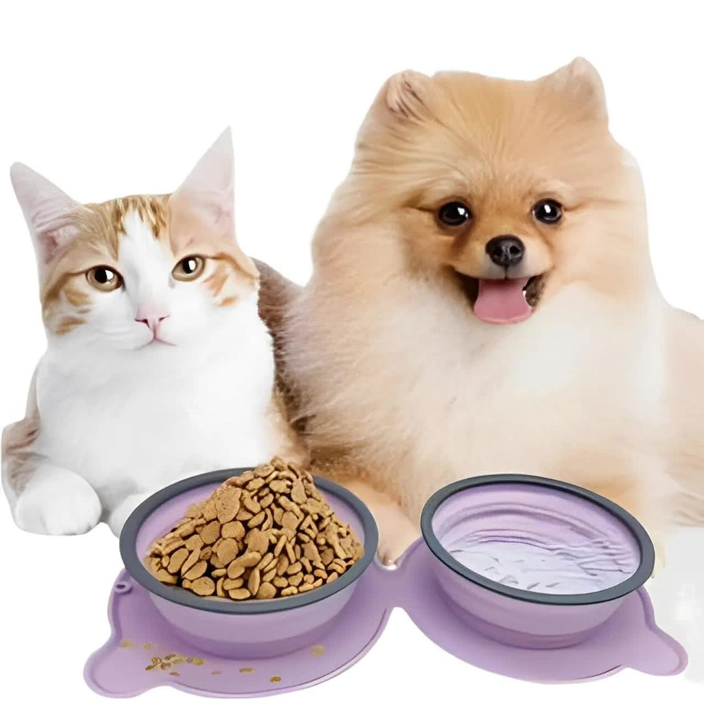 Collapsible Pet Bowl