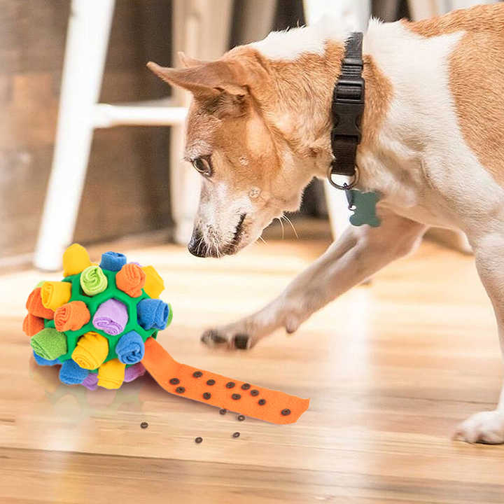 Treat Dispensing Ball