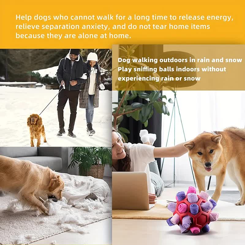 Treat Dispensing Ball
