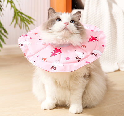 Pet Recovery Collar