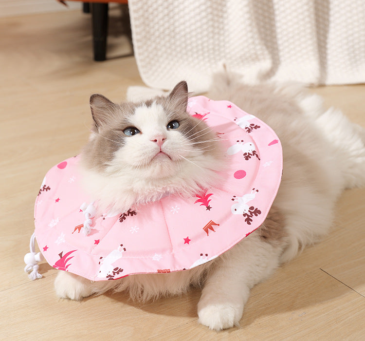 Pet Recovery Collar