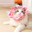 Pet Recovery Collar