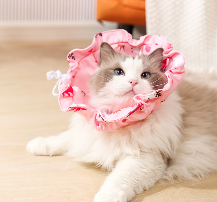 Pet Recovery Collar