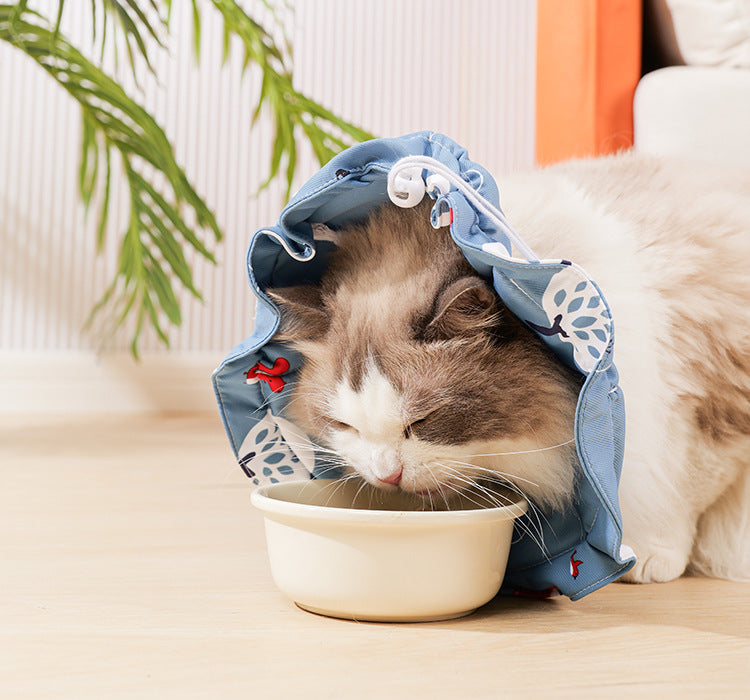Pet Recovery Collar