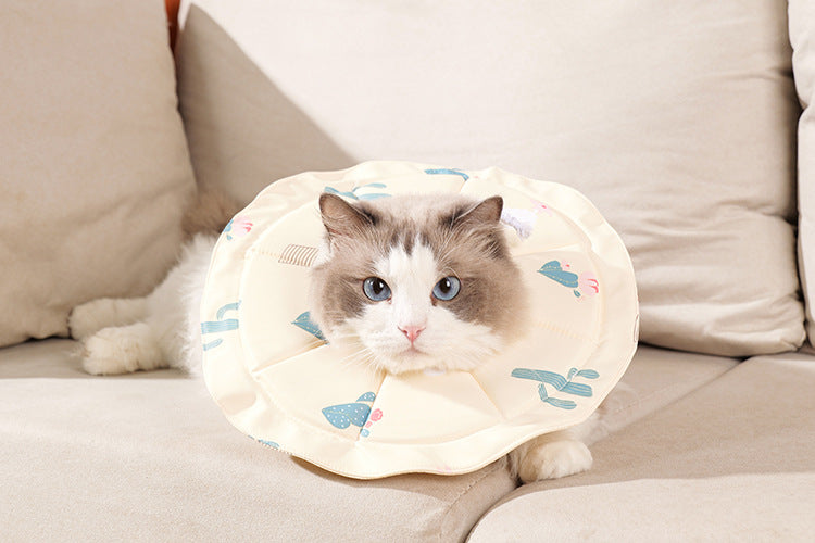 Pet Recovery Collar