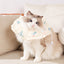 Pet Recovery Collar