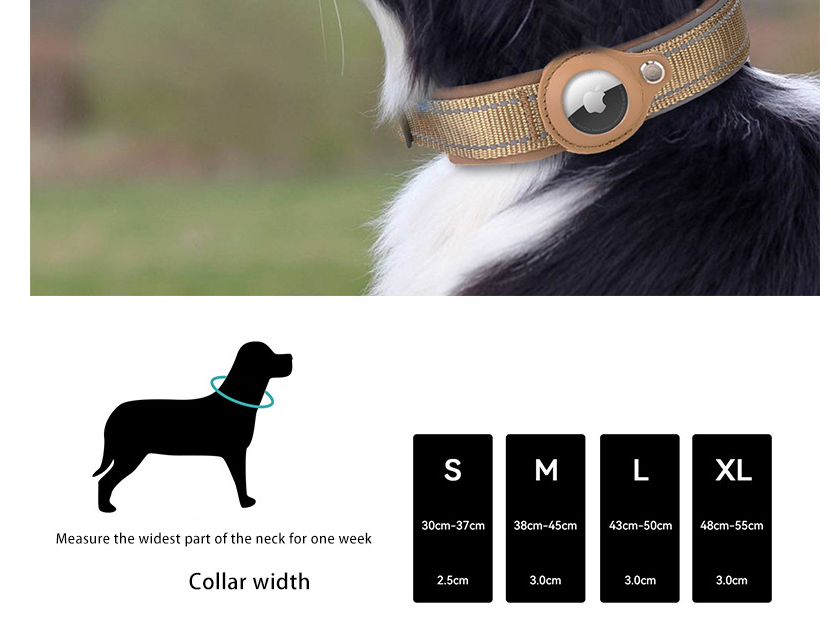 Nylon Dog Collar