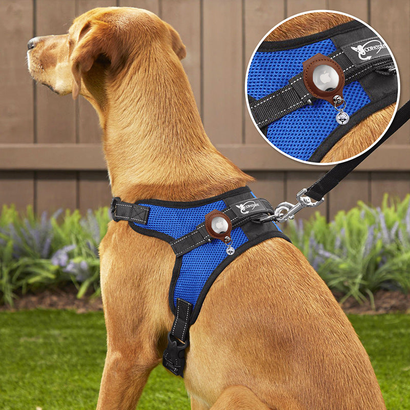 Nylon Dog Collar