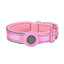 Nylon Pet Collar