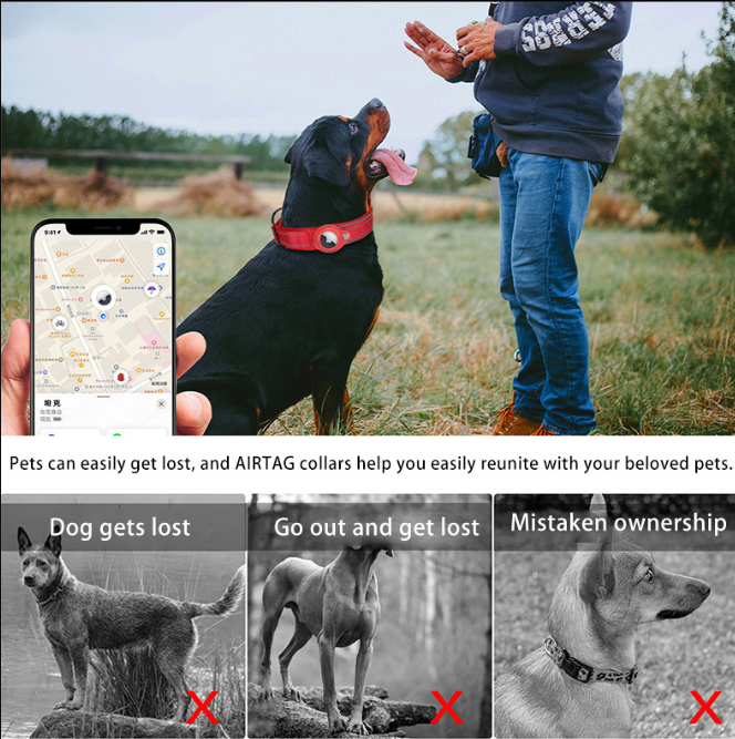 Nylon Dog Collar