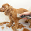 Pet Grooming Hair Clipper Kit