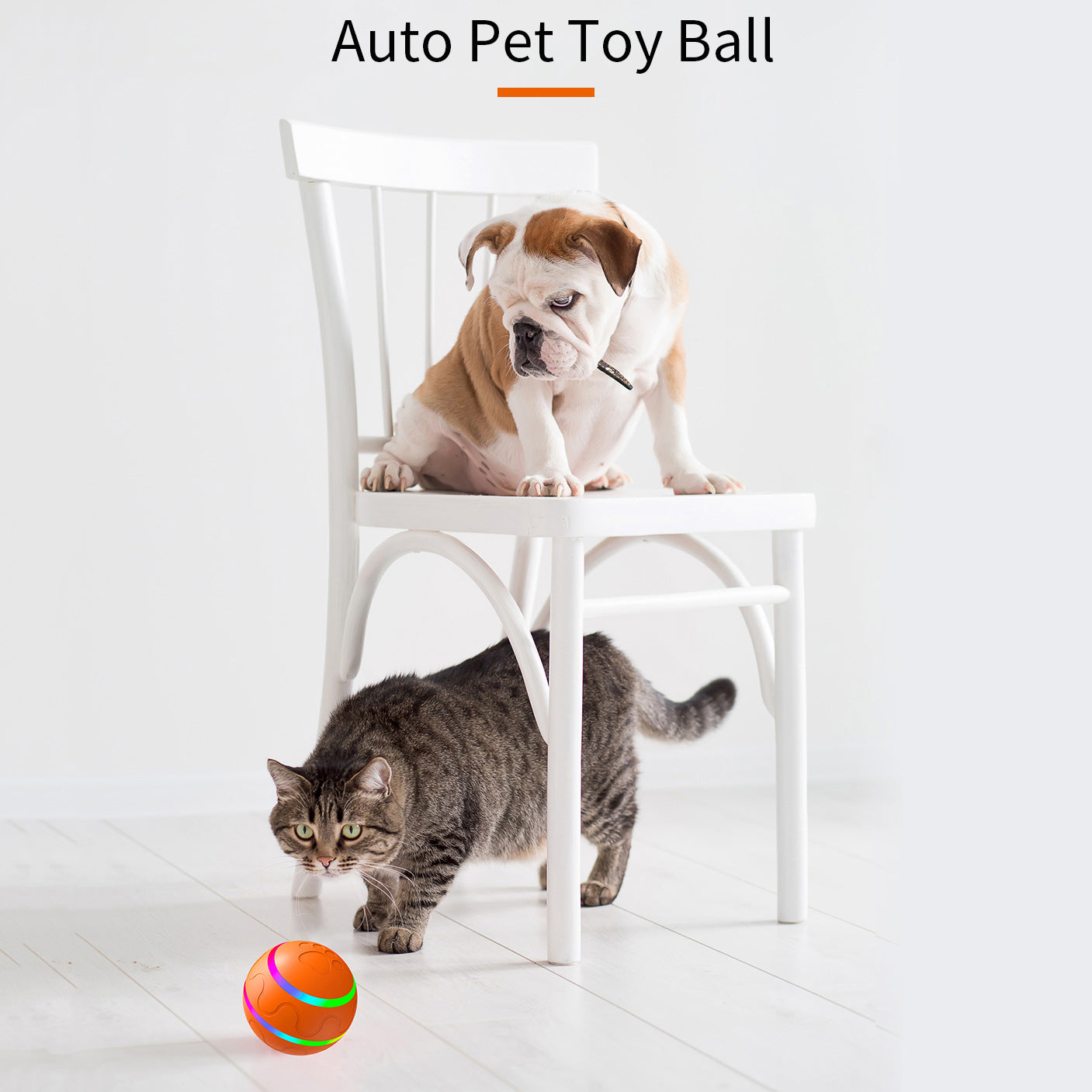 Interactive Remote Control Toy