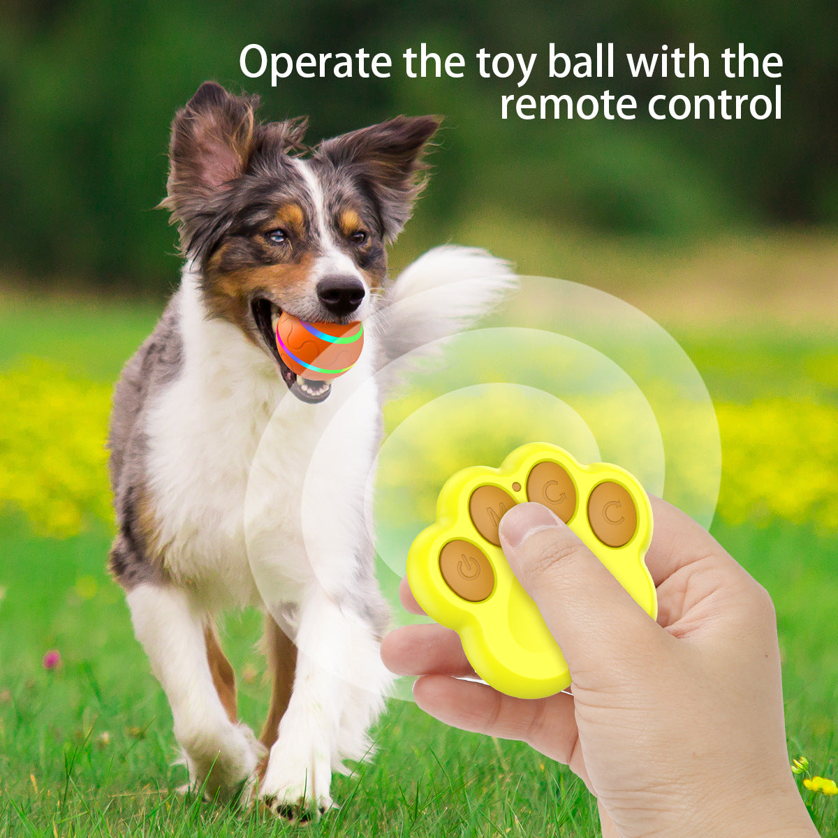Interactive Remote Control Toy