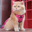 Reflective Mesh Pet Harness