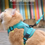Reflective Mesh Pet Harness