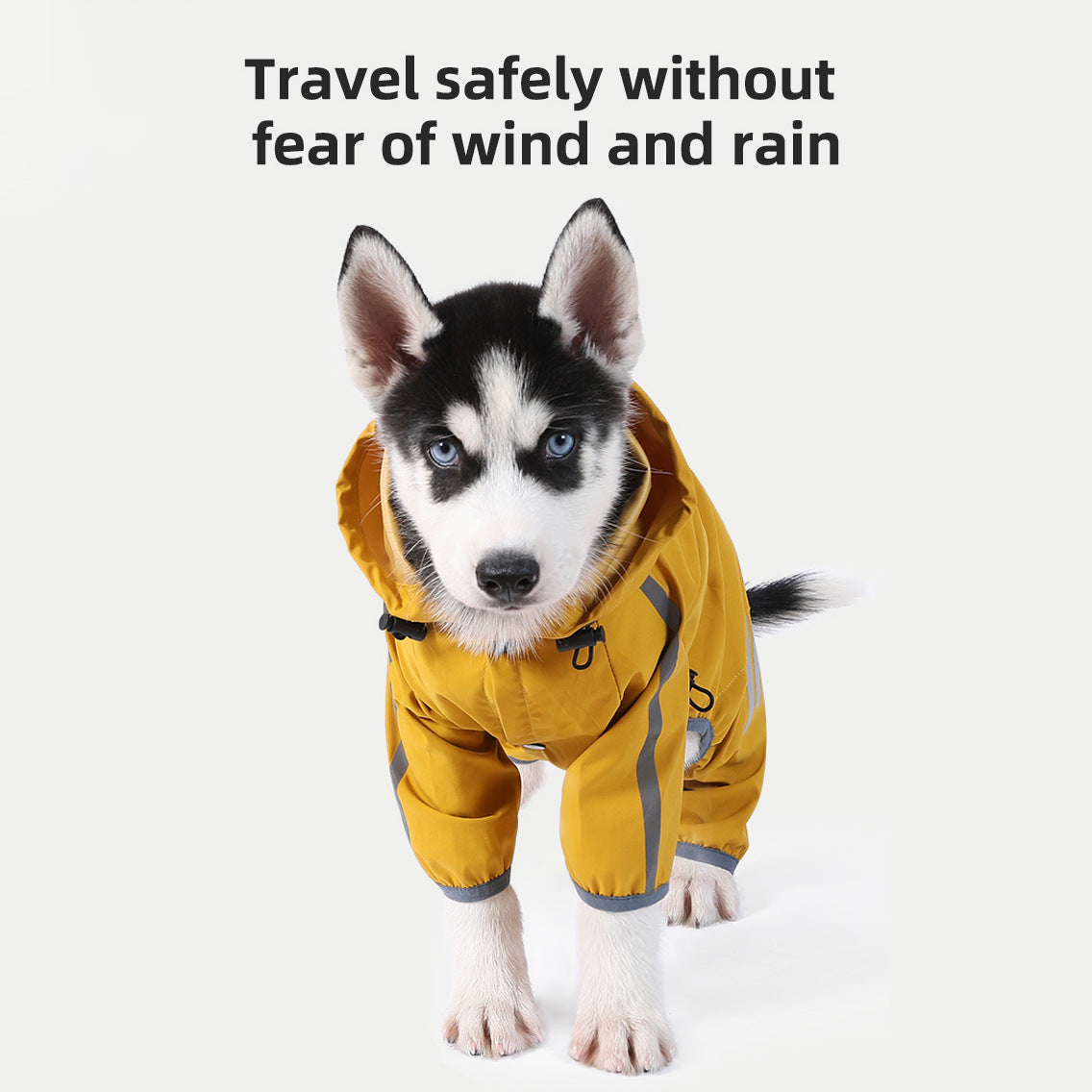 Dog Raincoat with leash hole