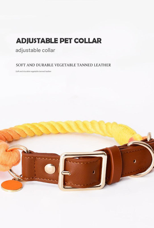 Slip-On Dog Leashes and Leather Dog Collar Leash Set
