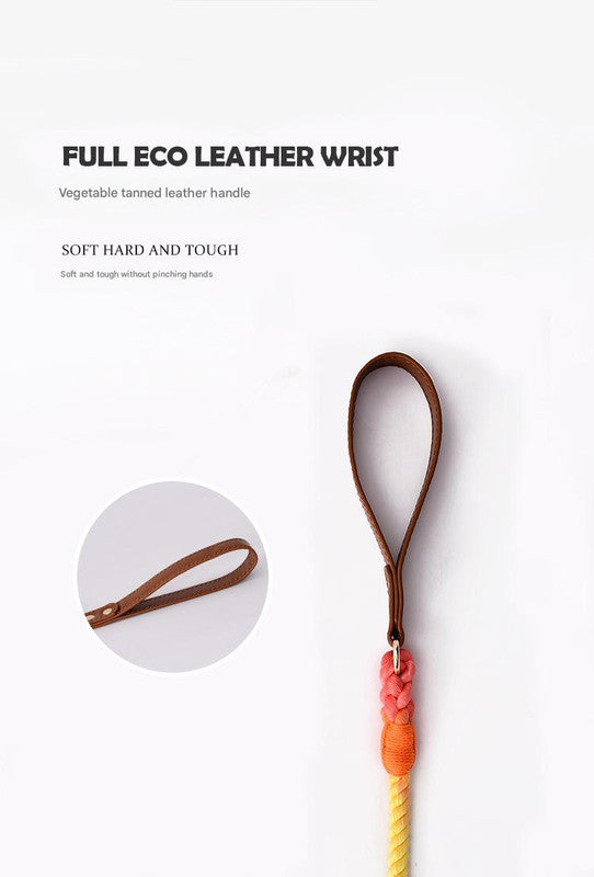 Slip-On Dog Leashes and Leather Dog Collar Leash Set