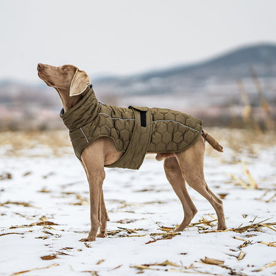Quilted Dog Winter Coat