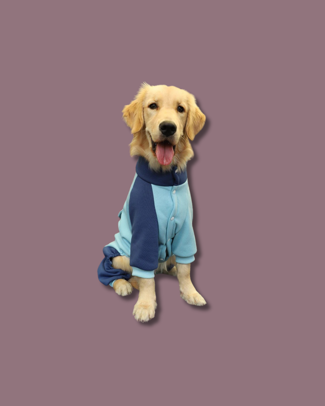 Autumn-Winter Dog Hoodie