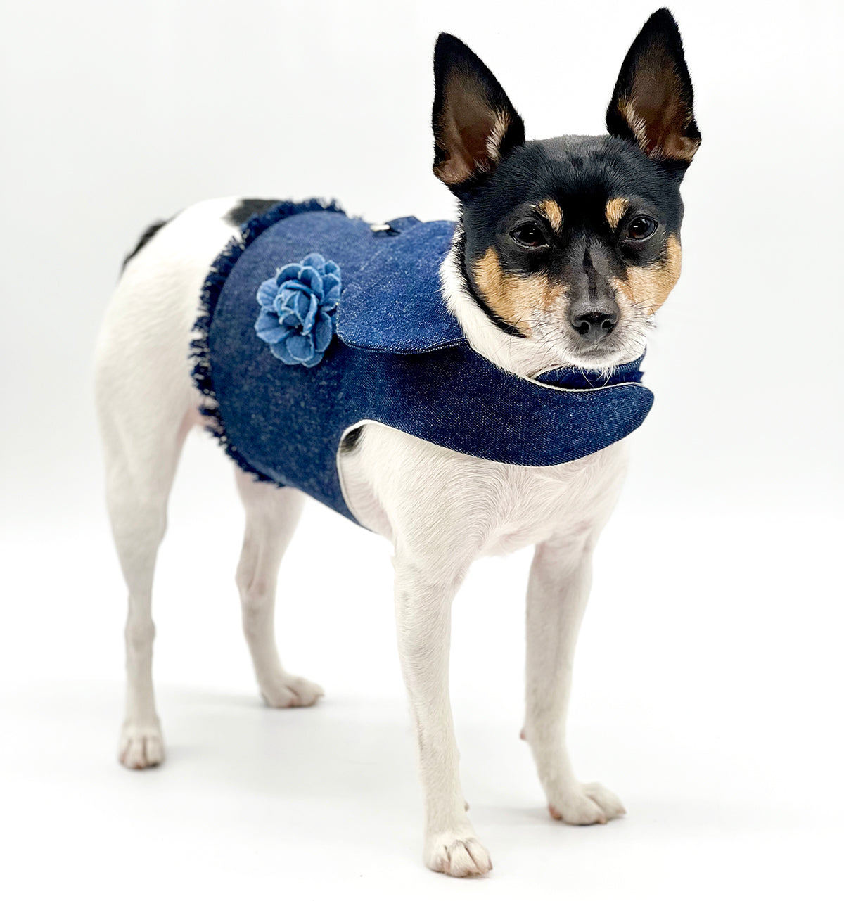 DCNY Denim Flower Harness Vest