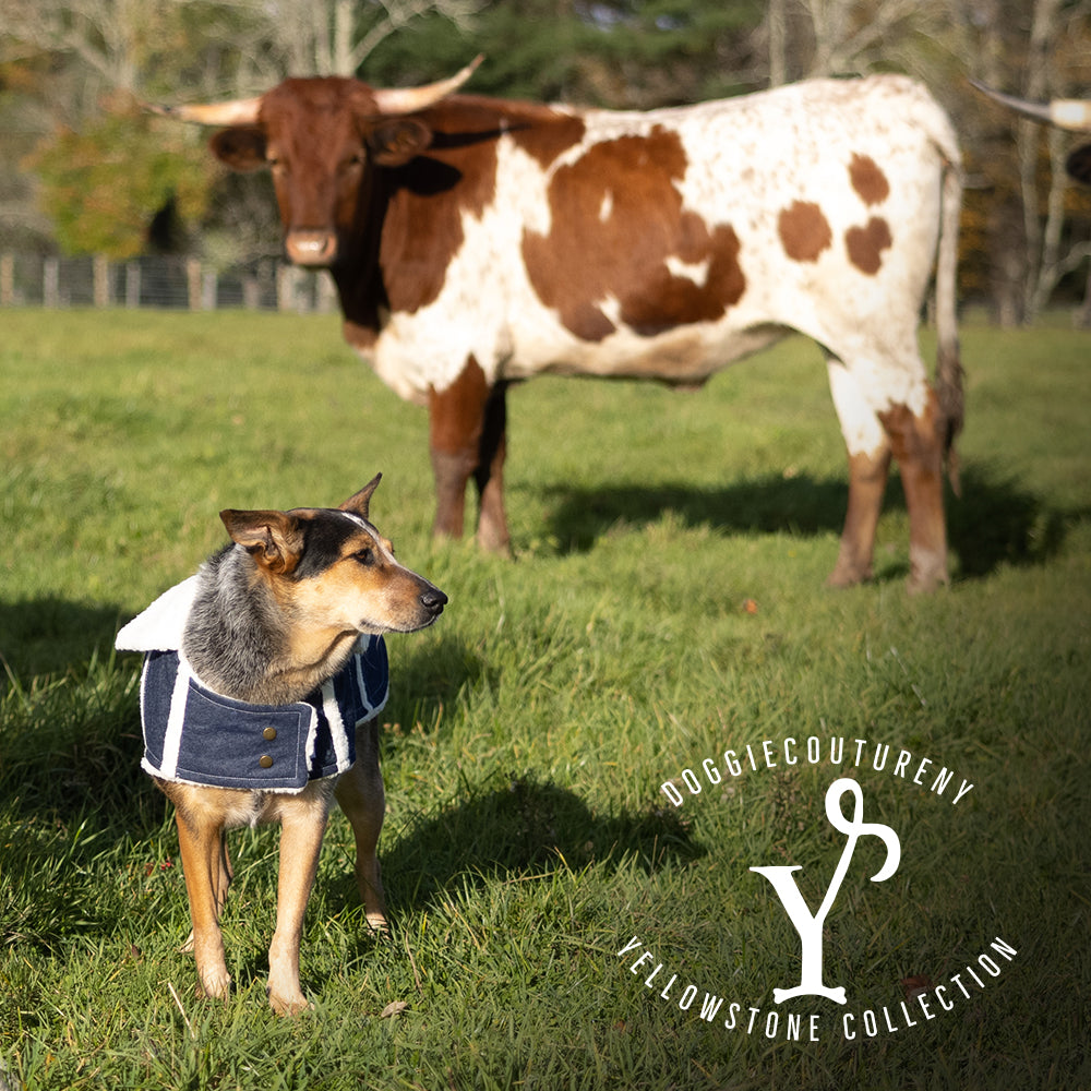 DCNY Sherpa Lined Denim Ranch Coat