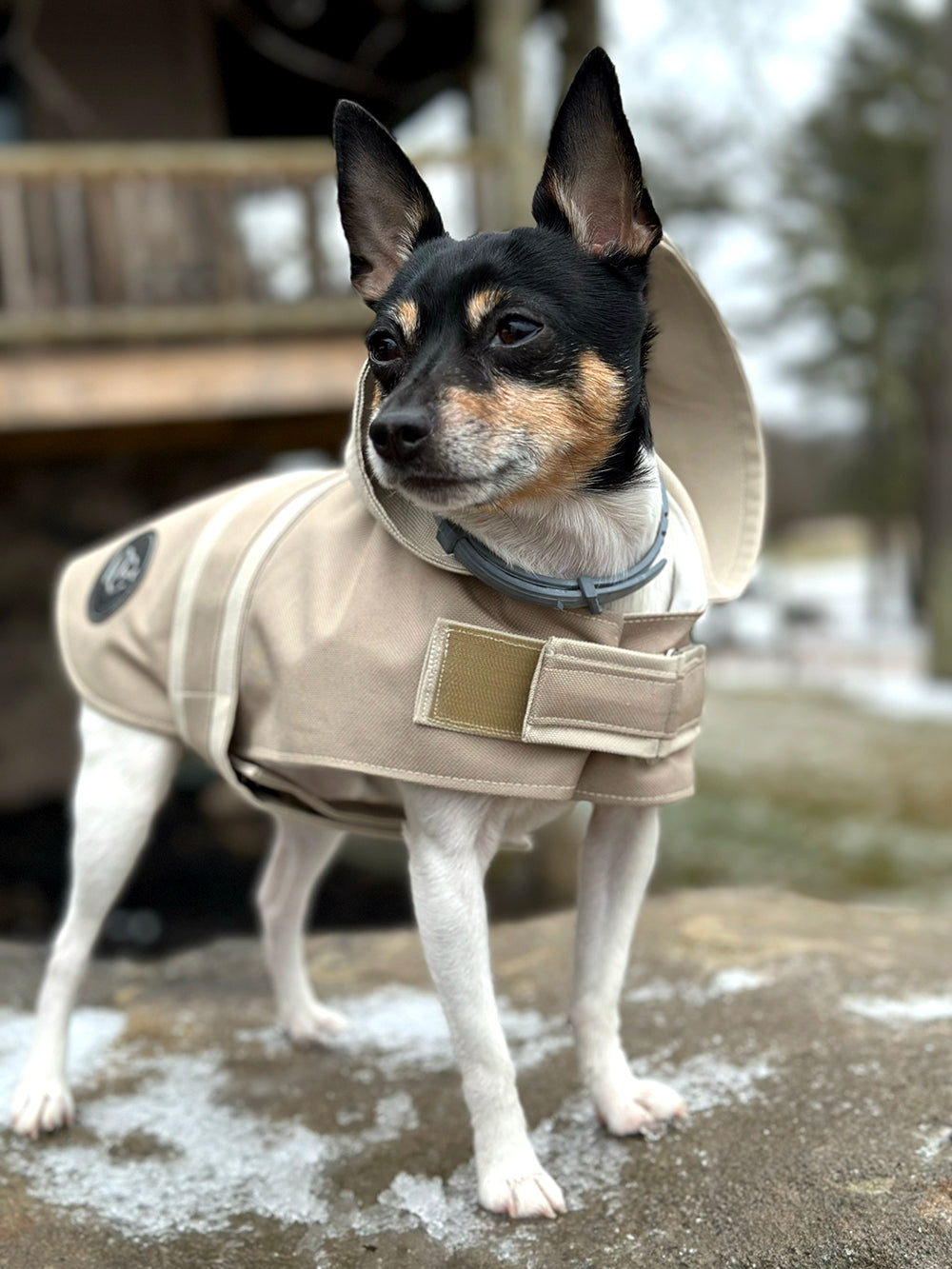 DCNY Sport Luxe Hooded Raincoat