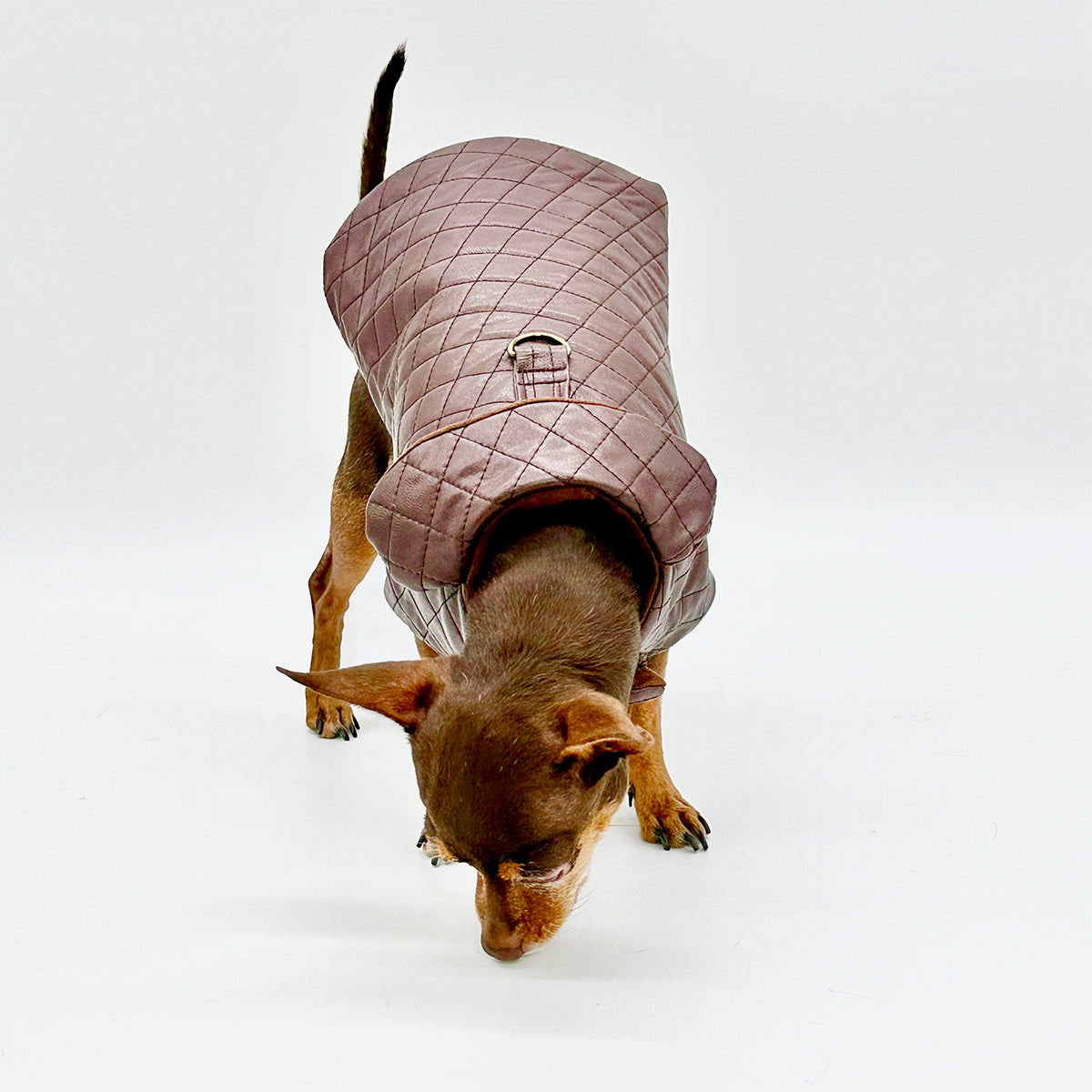 DCNY Quilted Vegan Chocolate Leather Coat