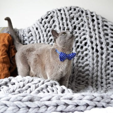Cat Collar & Bowtie