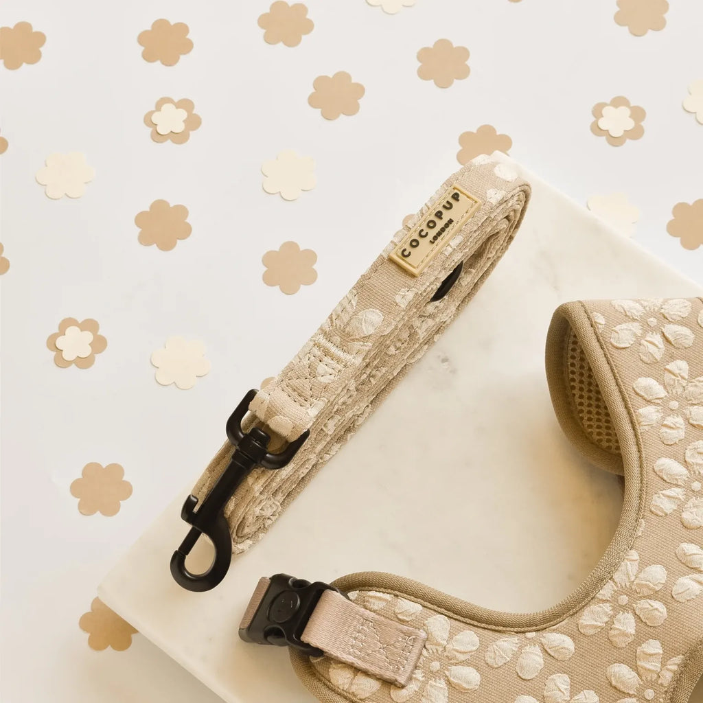 LUXE Dog Lead