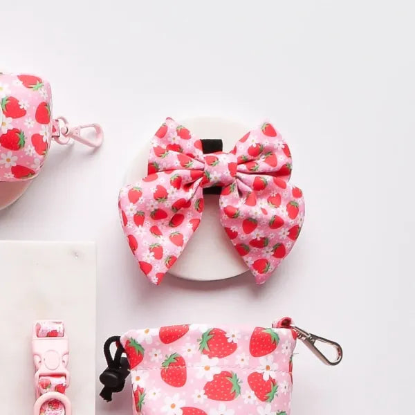 LUXE Bow Tie