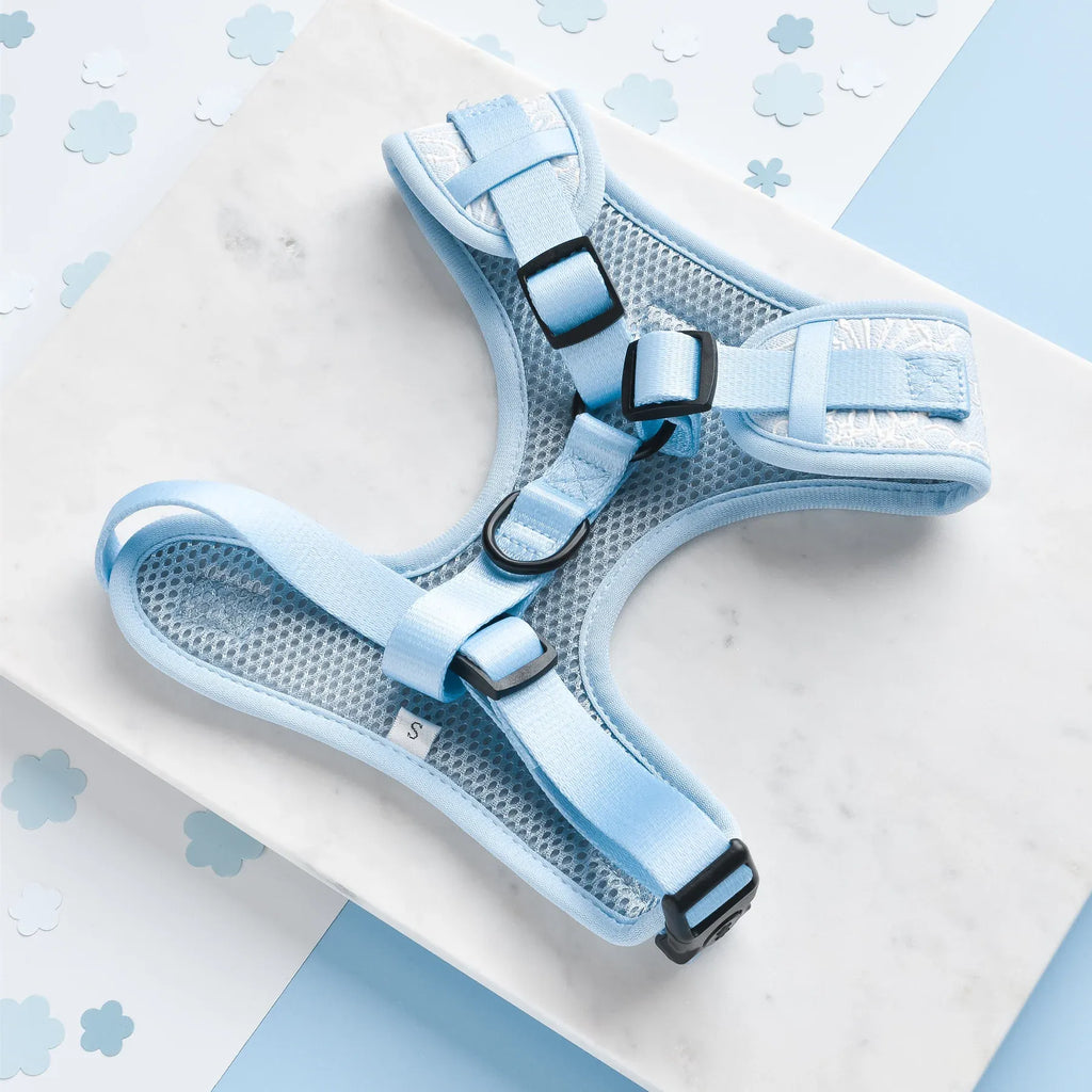 LUXE Adjustable Neck Harness