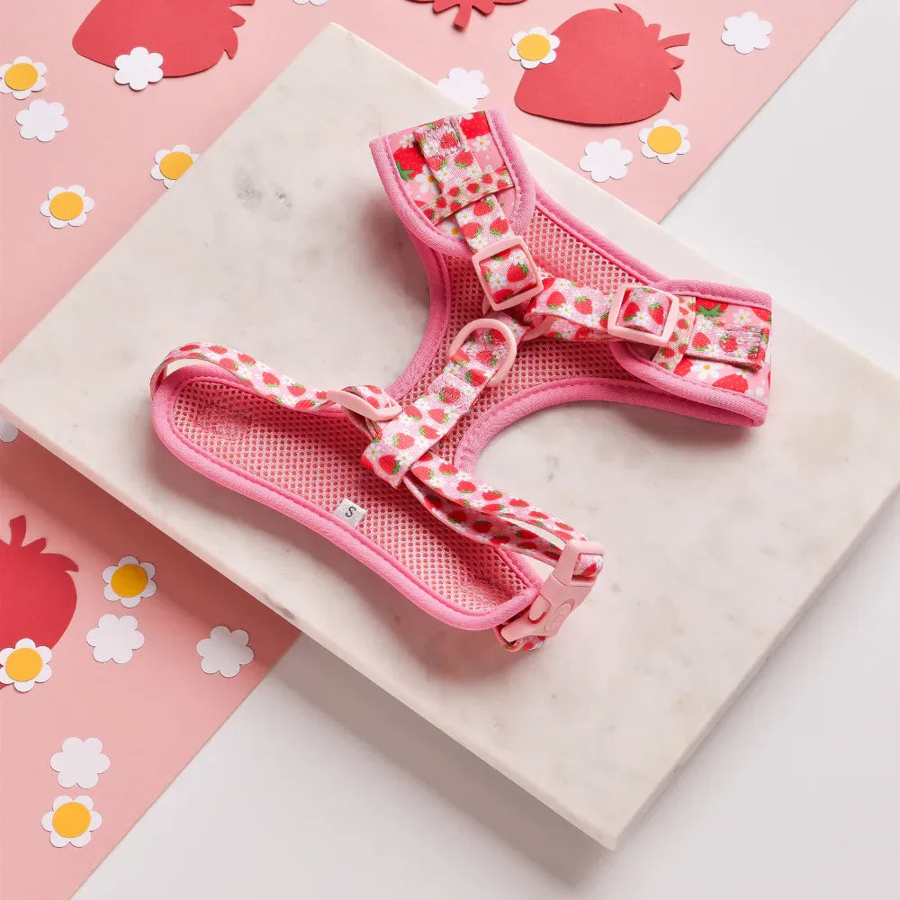 LUXE Adjustable Neck Harness