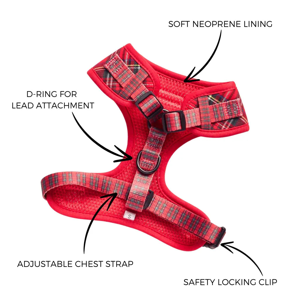 LUXE Adjustable Neck Harness