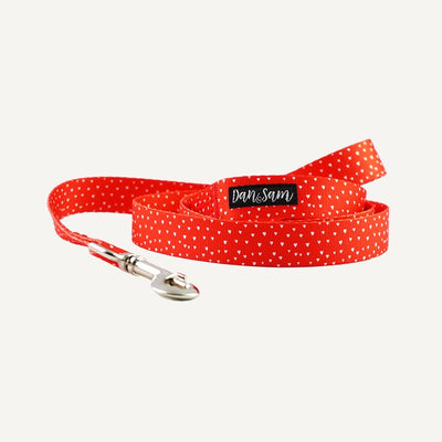 Dog Lead