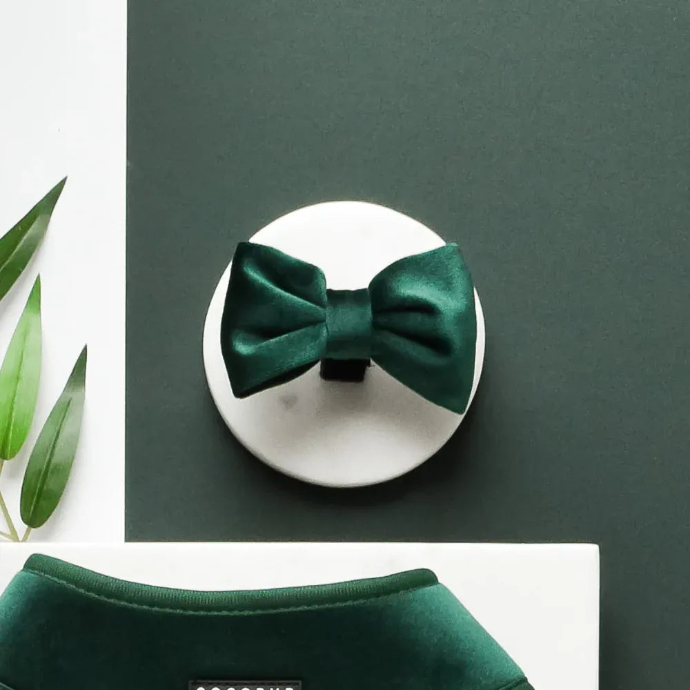 LUXE Bow Tie