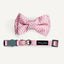 Cat Collar & Bowtie