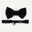 Cat Collar & Bowtie