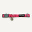 Cat Collar