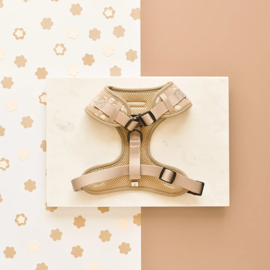LUXE Adjustable Neck Harness