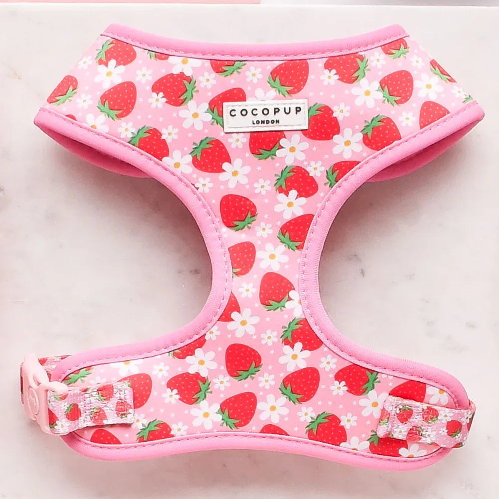 LUXE Adjustable Neck Harness